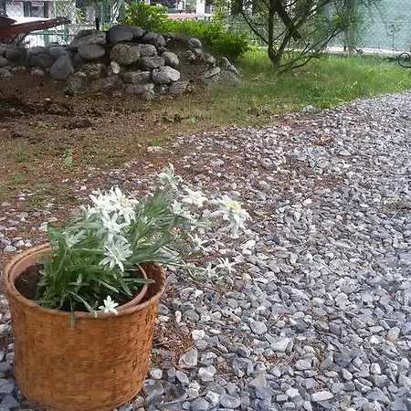 Apartament Anna